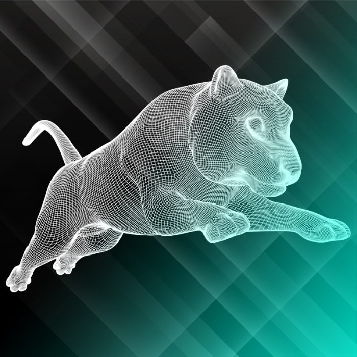 Wireframe Bundle – Animals #6 – Design Gecko